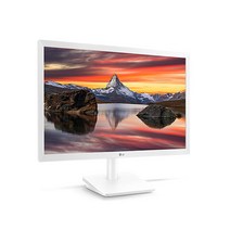 LG 22인치 모니터