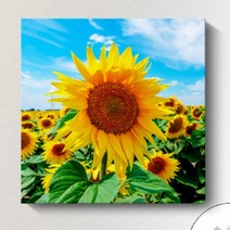 더리치홈 황금 돈들어오는 해바라기 액자