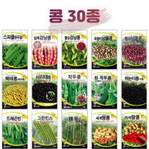콩 씨앗 완두콩 종자 강낭콩 호랑이콩 곡류 곡물 옥수수 채소 씨 농사마트, 10. 서리태콩 30g