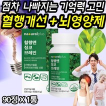소중한 기억력 인지력 혈행 개선 동시에 똑똑한 징코 어린이 성장기 초등학생 고등학생 중학생 암기력 머리좋아지는 두 뇌 건강 스트레스 앉아서 오래 공부하는 아이 추천 필수