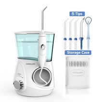 아쿠아픽 구강세정기 수동 휴대용 워터픽 추천 Waterpulse V600 세정기 치과, V600G, 호주