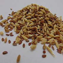 5 oz Sprouting PET Mix - A Tasteful Mix of Wheatgrass Flax and Barley Seeds. Seeds for Growing Micr, 1