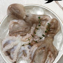 국산 서해안 산지직송 생물 활 쭈꾸미 알쭈꾸미 1kg 냉동 주꾸미 1kg, 4. 냉동 쭈꾸미 1kg, 1개