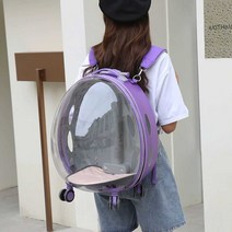 고양이 이동가방 우주선 캐리어 캡슐 가방 바퀴 투명, C