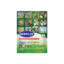 보락스그린 1kg, 1개