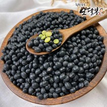 특품 2022년 국산 약콩 청약콩 쥐눈이콩 청서목태, 1개, 1kg