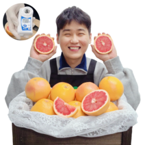 직수입 이스라엘산 평균당도 10Brix 루비자몽 레드자몽, 9kg내외/소과/30과