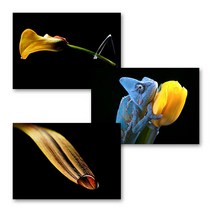 [아트톡] 인테리어 폼보드 3종 세트액자, 08.옐로우플라워2