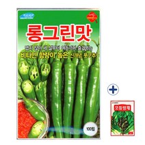 2023 롱그린 100립 풋고추 종자 씨 씨앗 + 모듬쌈채 농사친구, 롱그린맛100립+모듬쌈채