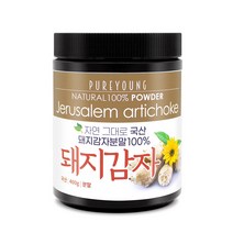 퓨어영 국산 돼지감자 가루 400g, 국산-돼지감자가루400g