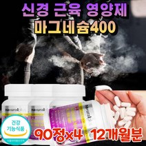 약국 추천 마그네슘제 고함량 400mg 고흡수 산화 마그네슘 고용량 400 보충제 신경 근육 기능 에좋은 영양제 흡수율높은 보조제 추천 눈떨림 마그네숨 마그네시움 음식 캐나다 직구