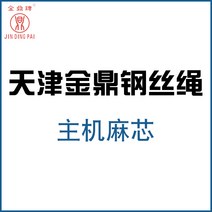 와이어 엘리베이터 전용 MM 천진 금정패 마심 예인함 속도 제한이다 2635003150, 10mm, 연그레이