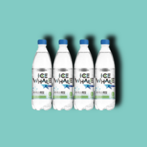 광동 아이스웨일 탄산수 샤인머스캣 500ml 20개 1박스, 500ml 20입