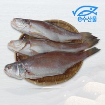 구이용 민어조기 반건조생선 3마리 5마리 소금간된 생선 맛있는조기 비늘내장손질 간편한구이, A.민어조기5마리(22cm)