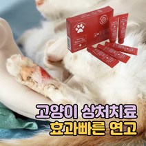 고양이 긁힌 상처치료 효과빠른 반려동물 연고, 연고 10ml
