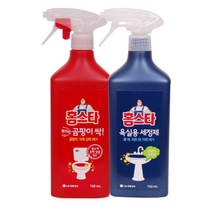 홈스타 뿌리는 [곰팡이 싹+욕실세정제] 900ml, 2세트