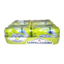 코스트코 산펠레그리노 자몽스파클링 330ml x 24캔 SAN PELLEGRINO