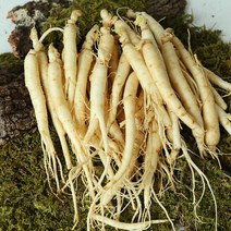 금산 황금농장 삼계탕/갈비탕용 세척 인삼(잔뿌리) 700g, 단품
