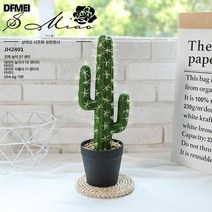 DFMEI 선인장 모조 작은 분재 고급 식탁 거실 크리에이티브 조화 진자 인조 다육식물 세트, JH2401(볼포함), 1개