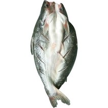 반제품 버들치 도매용 풀박스 통마리 무접점 등을 돌리는 물고기 대발 전선형, 1개, T06-1g 능성어 메콩고기-3 조목조목