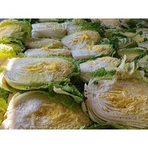 오늘애푸드 김장시즌 국내산 강원도 / 해남 절임배추20kg, 11월14일(화)도착