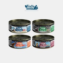 [헬시쇼어스] 천연 오메가3 가득 고양이 습식캔 사료 100g, 단품, 제형:민스타입|맛:와일드 살몬