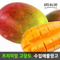 이츠올릿 프리미엄 애플 망고 3kg 6~8과 선물 세트 답례품 무지개 과일