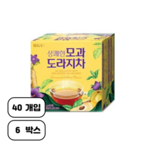 담터 상쾌한 모과 도라지차, 1g, 240개입