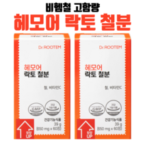 닥터루템 헤모어 락토 철분 비동물성 비타민C 비헴철, 2개