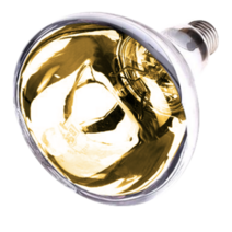 컴프라이프 욕실난방기 전용램프, 05 IR275(183) 골드