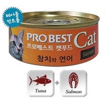 캣 헤어볼 요로계 건강 참치연어캔 x24 맛있는 좋은성분 샴