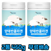 에너데이 양태반콜라겐 양태반분말 저분자 피쉬콜라겐 펩타이드 프락토올리고당 치커리추출분말 비타민 l로이신 류신 l아르지닌 미네랄 믹스 산화 아연, 2개, 230g