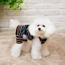 [펫디자인] 캔디 끈나시 올인원 강아지옷, 블랙