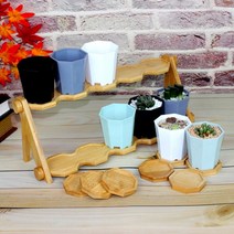 플아가든 팔각화분 다육이 플라스틱화분 플분, A타입 (무광), 민트