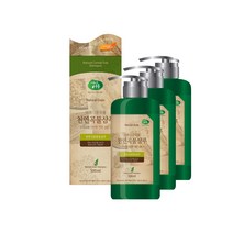 아름다운곡물 천연샴푸, 3병, 500ml