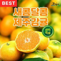 제주 고당도 인증 당도보장 농장 직송 서귀포 하우스 노지 귤 감귤 제주감귤 밀감 3KG 5kg 10KG, 1.고당도 타이벡 노지 감귤 5kg 중과(L-2L)