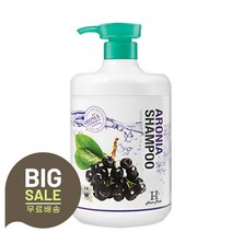 아로니아 대용량샴푸 1000ml, 1개
