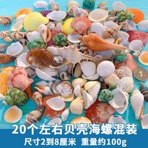 어항 꾸미기 흑사 돌 구피 장식 산호석 장식품 인공 수초 수족관 수조, 천연 조개 소라 믹스 [100g 팩]