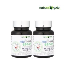 내츄럴가이아 관절앤N 아세틸 글루코사민 60정, 2개