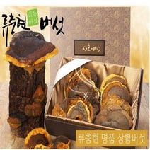 류충현약용버섯 명품 상황버섯 목질진흙버섯 원물 무농약 친환경인증 효능 상황버섯차 상황버섯주 선물용 선물세트 국내산, 1개, 300g