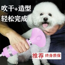전문 다기능 모델링 애완 동물 헤어 드라이어 당기는 올인원 개 유물 목욕 건조 작은, 2 generation powder