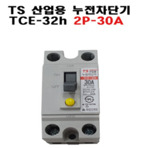 태성전기 누전차단기 TCE-32h 30A, 1개