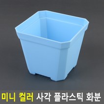 미니 사각 플라스틱 컬러 화분 소형 어린이집 화단 꾸미기 체험 교구 다육이 10x8.5cm 대 블루