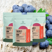 오스트리아산 빌베리 고함량 농축분말 500g 눈건강 bilberry, 500g 3개