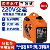 자가발전기 비상발전기 수동발전기 3kW 소형 컨버터블 무음 가솔린 발전기 휴대용, 01 발전기용스파크마개, 1개