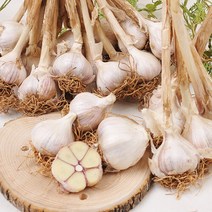 산지직송 충남 서산 전병호님의 육쪽마늘 3kg(대/4cm이상), 단품없음