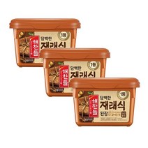 CJ 장 해찬들 재래식된장 (유통기한:2023-09-14) 된장찌개 집된장 500g 3개 1세트, 3세트