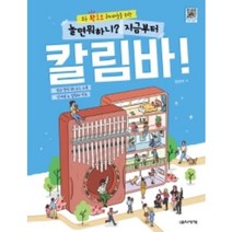 놀면 뭐하니 지금부터 칼림바 음악세계