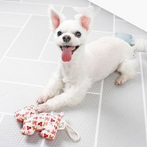 예보들 노즈워크 킁킁인형, 1개, 강아지 브라운