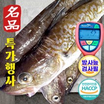 생 대구+양념장 키트 내장 손질 국내산 생선 제철 생물 대구 마리 매운탕 고니 알탕 흰살 조림 대구탕 지리탕 요리 산지직송, 생대구 비손질 2kg 3-4마리, 2개
